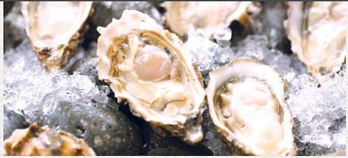 豪華船河燒烤派對到會15人套餐