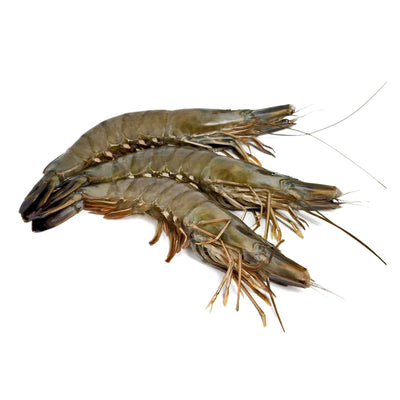 Copy of Tiger Prawn (10pcs per kg) 原隻虎蝦(10頭)